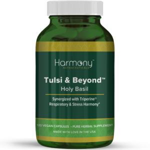 tulsi holy basil supplement