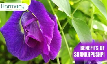 Know Shankhpushpi Benefits