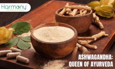 Ashwagandha: “Queen of Ayurveda”