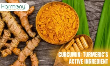 CURCUMIN: TURMERIC’S ACTIVE INGREDIENT