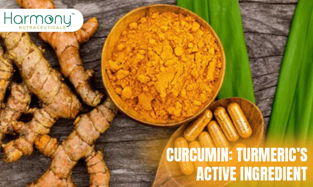 CURCUMIN: TURMERIC’S ACTIVE INGREDIENT