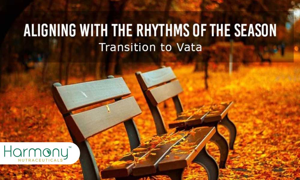 Aligning With The Rhythms Of The Season