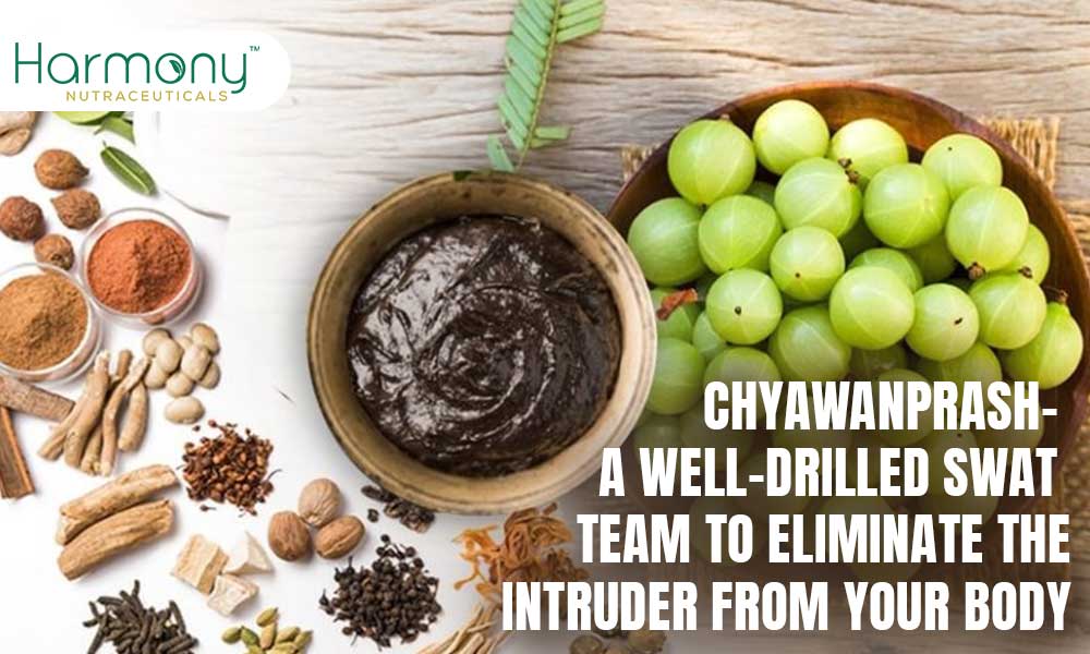 Chyawanprash – A Well-Drilled Swat Team to Eliminate the Intruder from Your Body