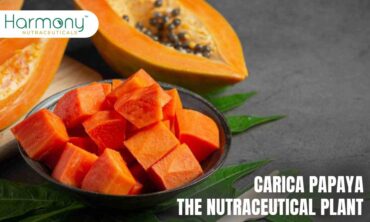 Carica Papaya - The Nutraceutical Plant