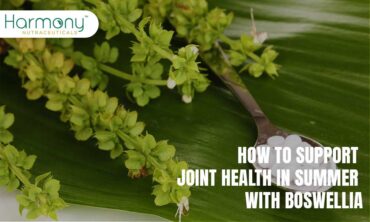 How to Support Joint Health in Summer with Boswellia