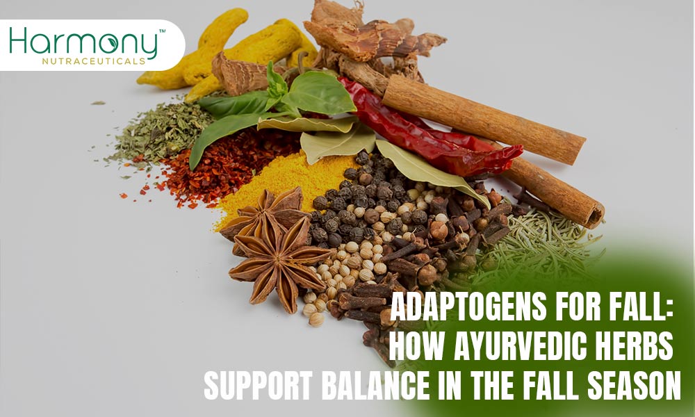 Adaptogens for Fall: How Ayurvedic Herbs Support Balance in the Fall Season
