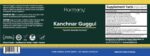Guggul: Kanchnar (Thyroid-Glandular Harmony) - Image 8