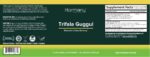 Guggul: Trifala (Metabolic & Detox Harmony) - Image 7
