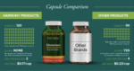 Cinnamon (Superior Ceylon) - Image 5