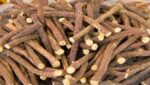 DGL Licorice - Image 5