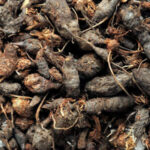 Guggul: Gokshuradi (Urogenital Harmony) - Image 10