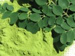 Moringa Supreme - Image 5