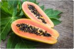 Papaya Leaf - Image 3