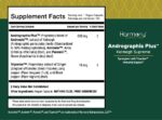 Andrographis Plus - Image 2