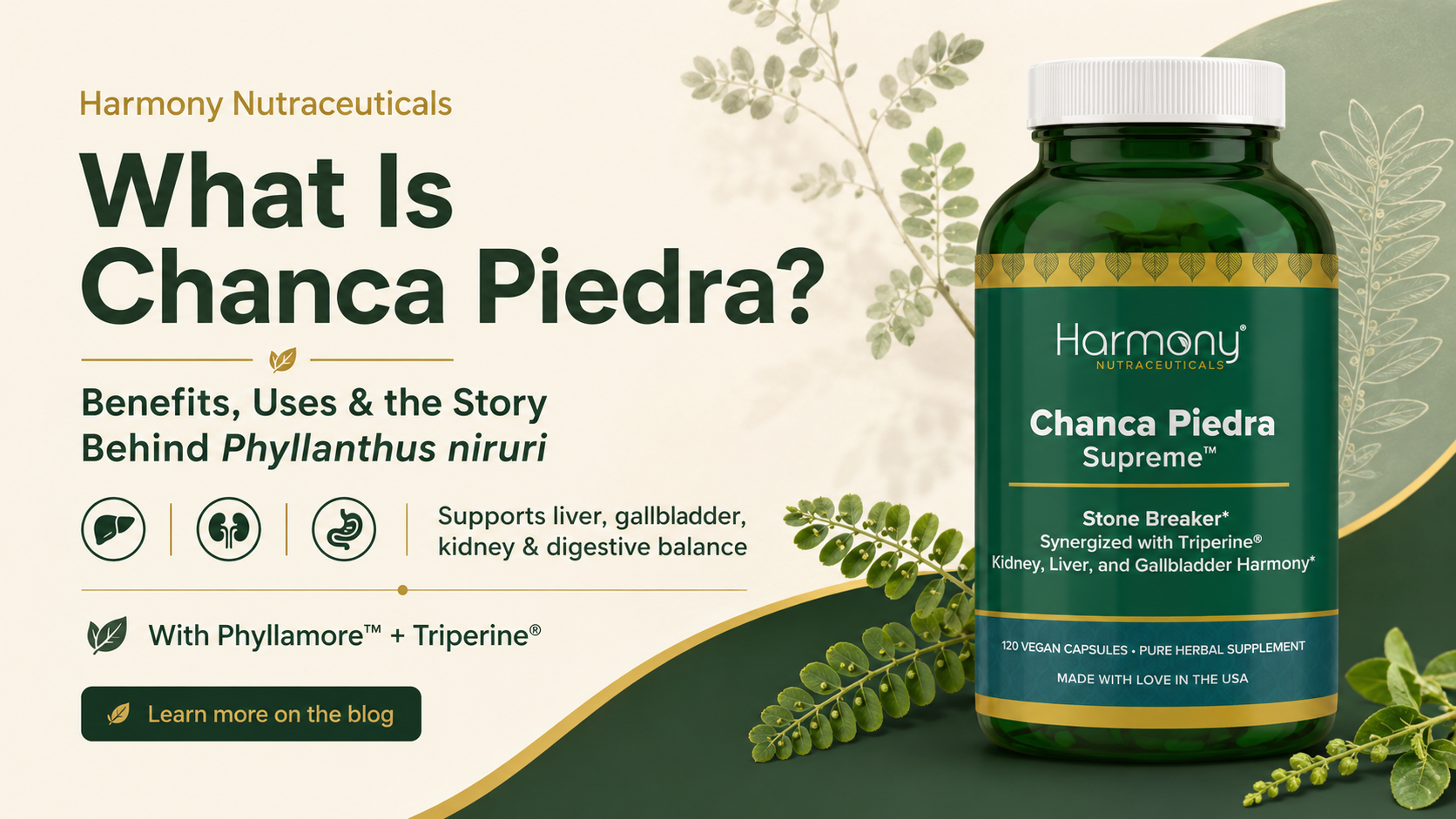Chanca Piedra Herbal Harmony Banner